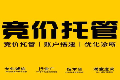 案例分享：SEM推广助力电商快速崛起